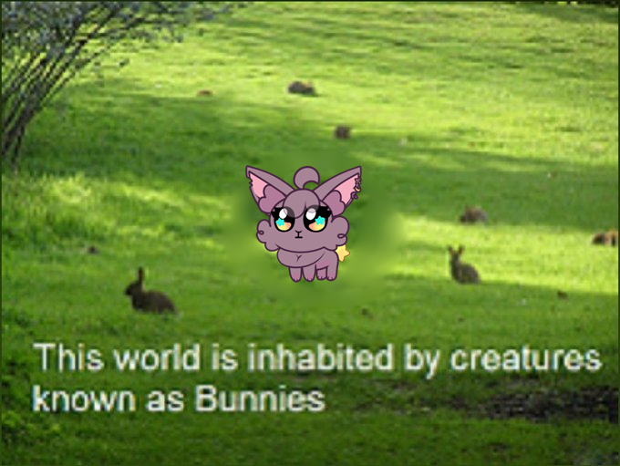 ✰Bun☆💕🔞-@bunpeito.bsky.social tweet media