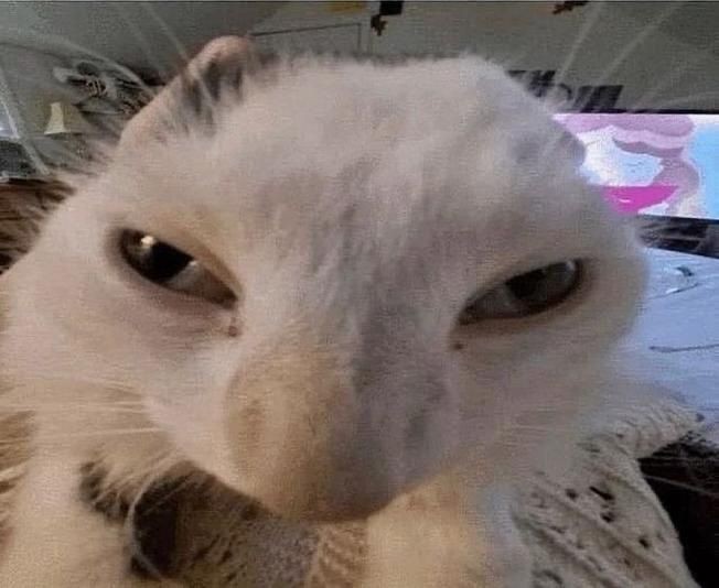 𝐍yx. (@nightdesxire) on Twitter photo 