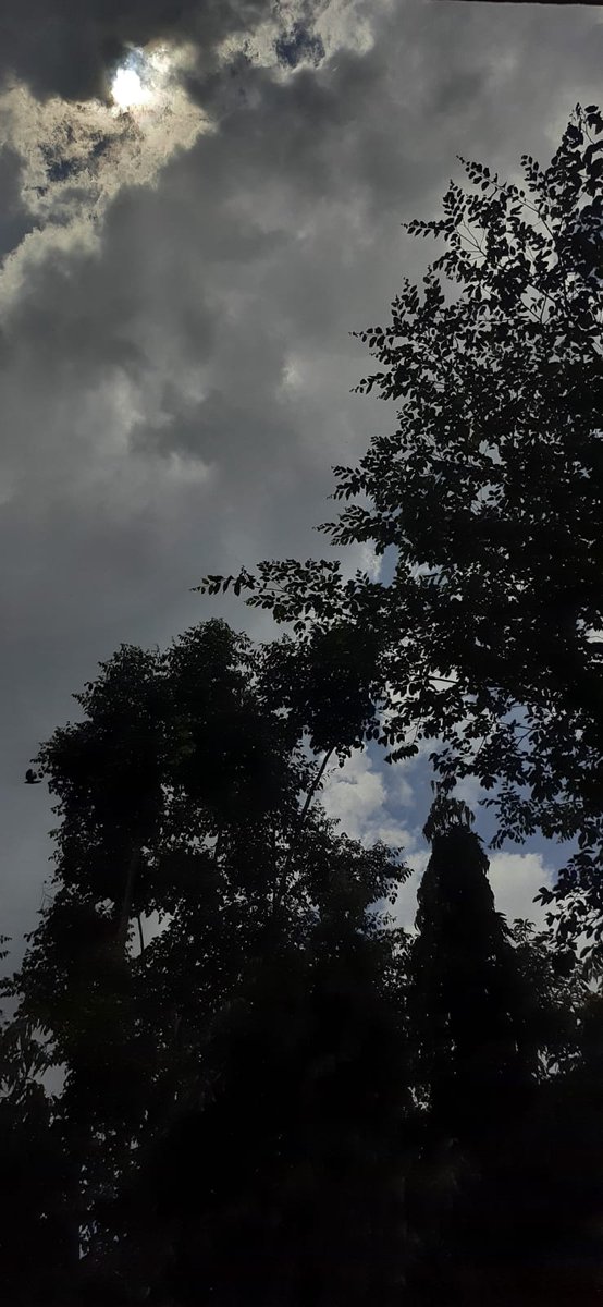 Madhumathi_Inks's tweet photo. #ப்ரியநீலம் 
"Oru paadhi kadhavu neeyadi..."
Ever-inspiring, therapeutic colors, patterns, textures, fragrances of Nature.
One can smell serenity, from the dreamy shades of the Sky.
🩵
#EternalLoveForNature #AllThingsBlue
#BlueSkies #NaturePhotography #NatureLovers #Sky #Chennai https://t.co/TtwvRJljxK
