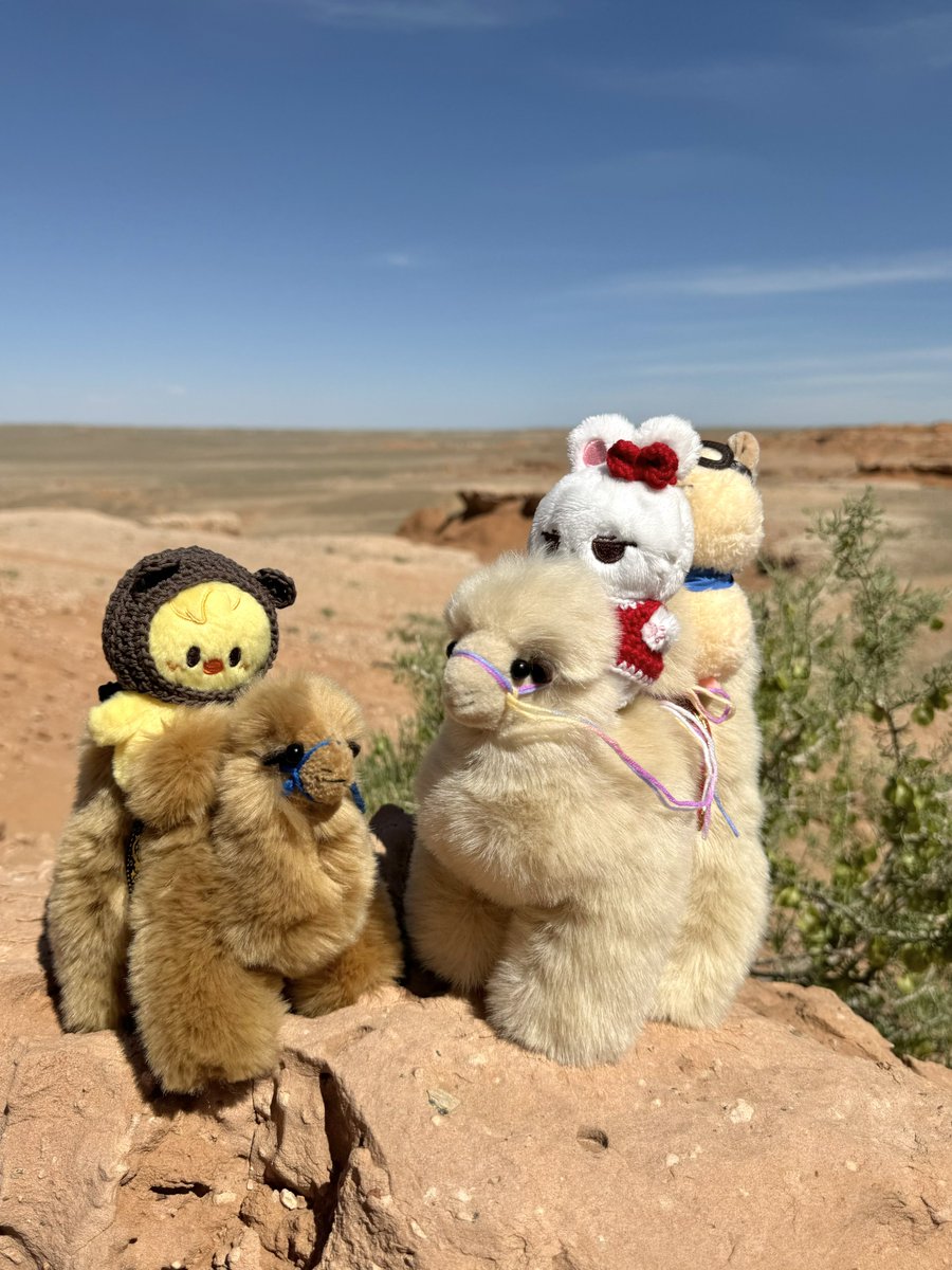 사막에 간 뽁아리🐫 with 베리 한딱지