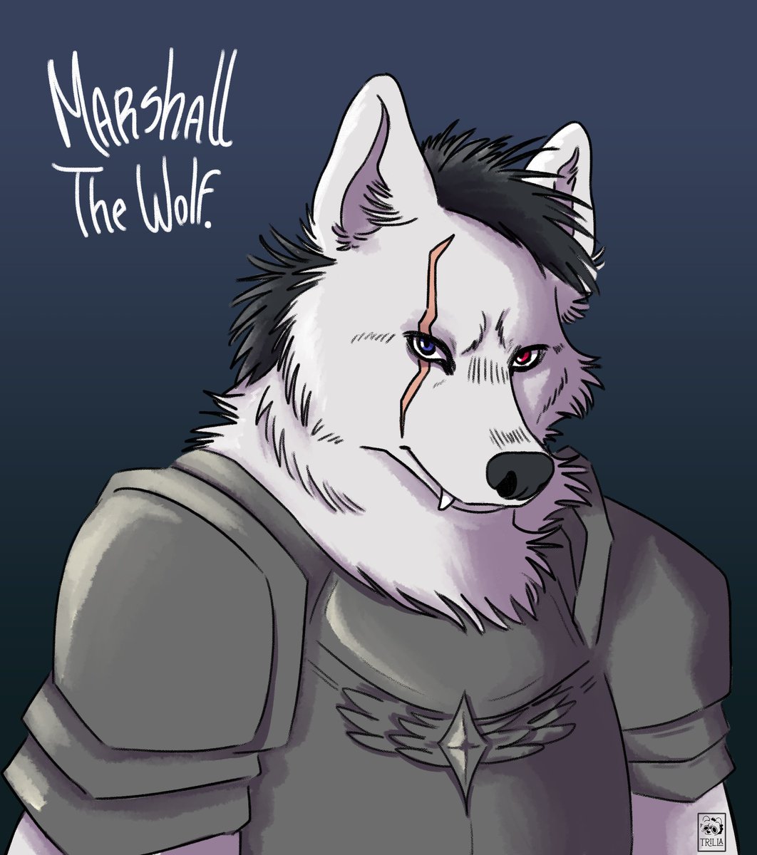 TrillaArtz's tweet photo. Welp, here is my first fanart of all time. Marshall the wolf from #dannysmokeinfurryland Edgy furry wolf. yes please. in armor??? OF COURSEEEE
#art #furry #furryarts #wolf #armor #dannysmoke #furryland https://t.co/RxPxqCiw3v