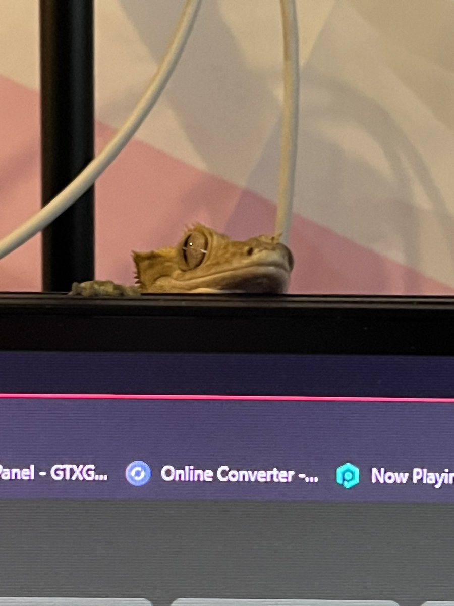 Colaonooo tweet media