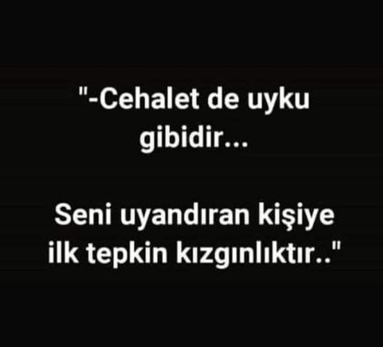 Devlet gemi inşa mühendisi Fethi Algon'u 1946’da Tatvan'a yollar. Kocaman bir iç deniz, üzerinde hiç deniz taşımacılığı yok. 
Fethi Algon eşini, iki oğlunu alır Kurtalan Ekpresi ile önce Siirt Kurtalan'a oradan da 8 saat (122 km) süren bir yolculukla Tatvan'a varır.
Vardıklarında