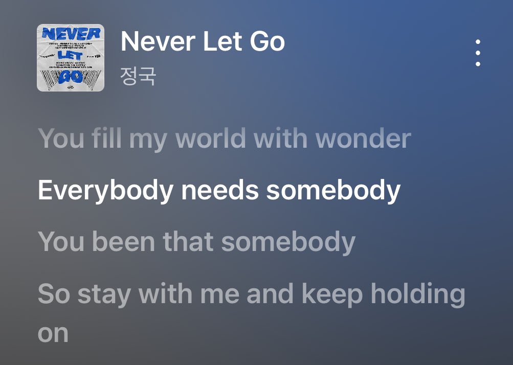 모두들 ‘누군가’ 필요해
너는 (나에게) 그 ‘누군가’였어

살아가면서 자신의 필요성에 대해 생각할 때가 있는데 
팬들에게 너는 나에게 꼭 필요한 ‘누군가’였다며
한명한명의 존재 자체에 의미를 전해주는 가수라니...
걍 털썩 주저 앉아서 울고 있음