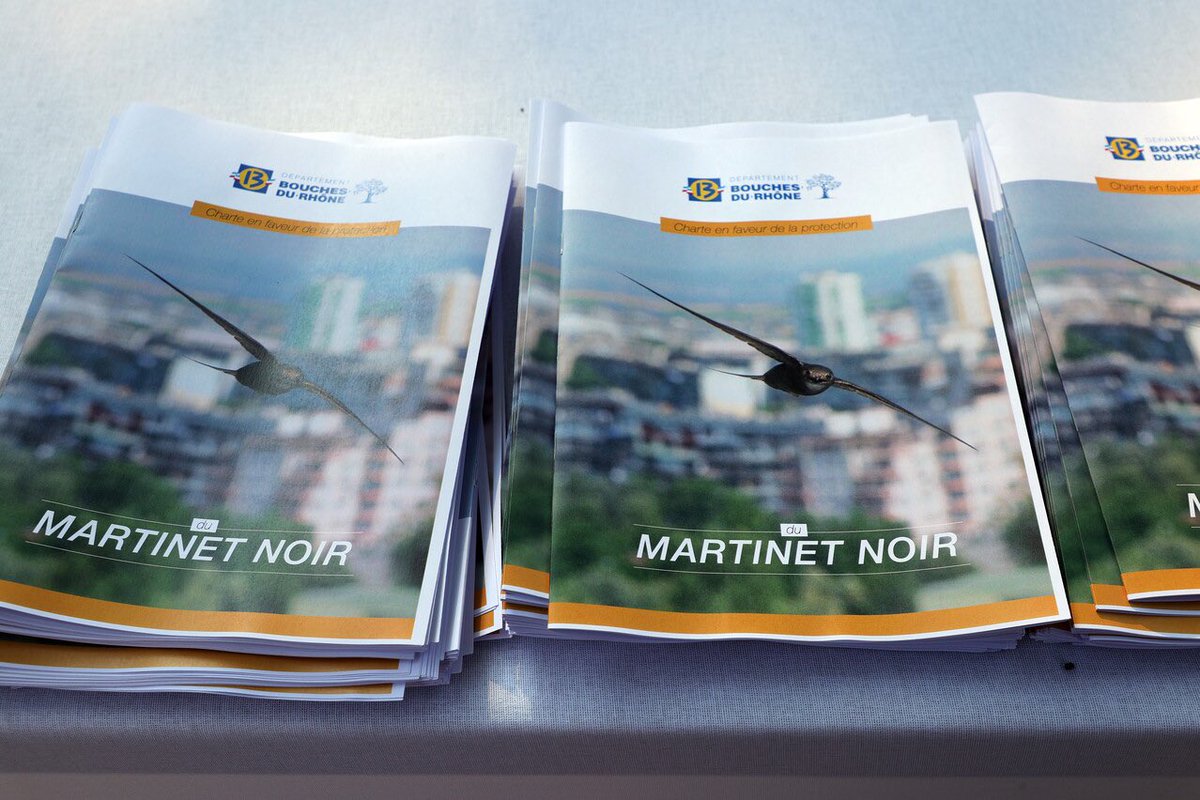 departement13's tweet photo. 🐦⬛ C’est la Journée mondiale des #martinets
Pose de nichoirs dans les communes, signature d'une Charte, sensibilisation des collégiens... Depuis 2021, nous agissons pour que cet #oiseau menacé reconquière nos villes et nos campagnes 👉 https://t.co/BlFfmEJapm https://t.co/CxP47i1TdO