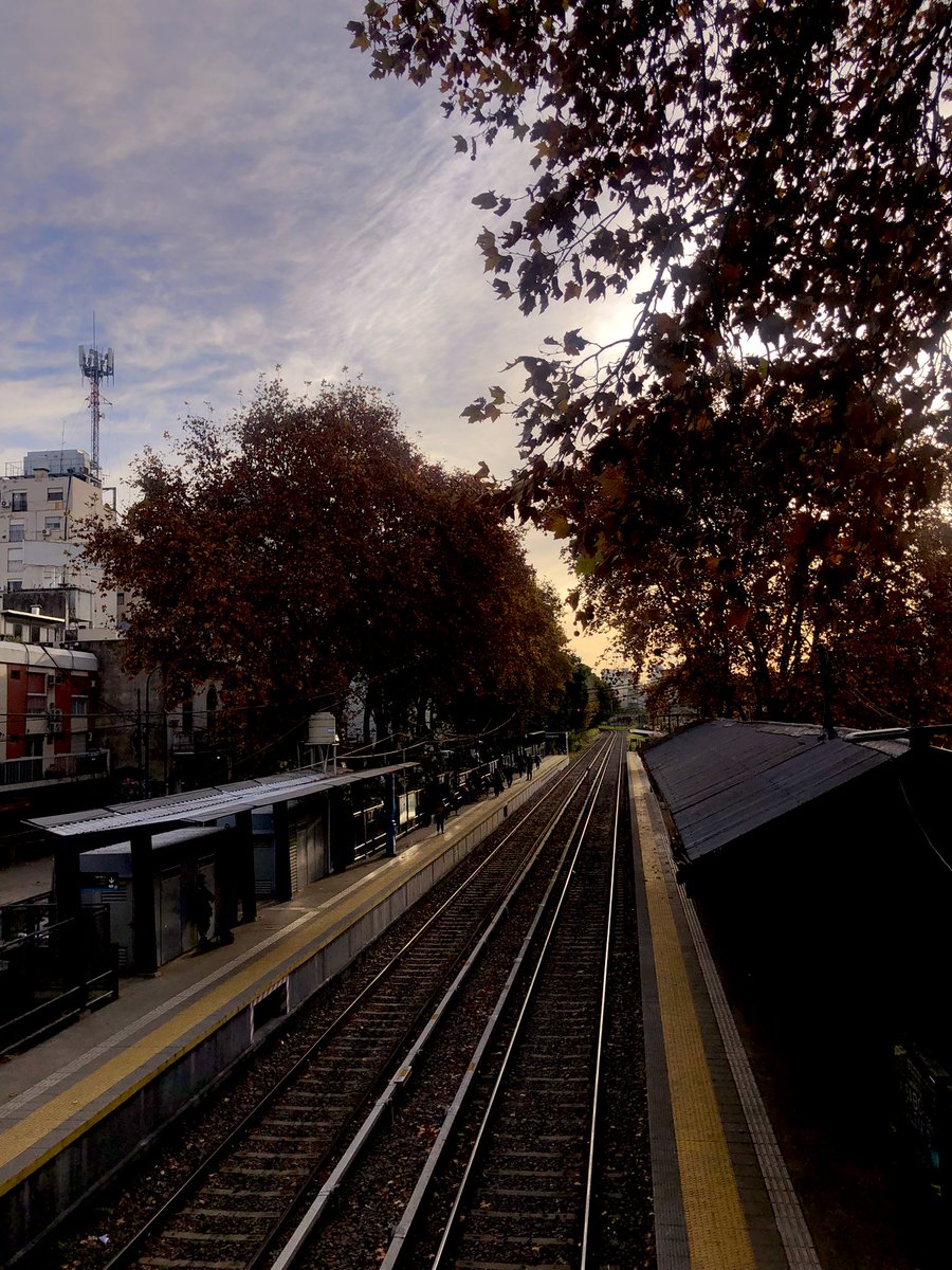 Topophilia💕🌸🫀🤍🌻