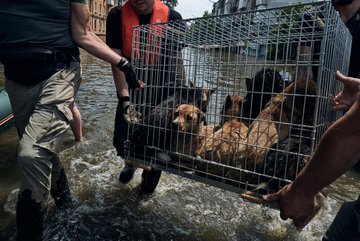 A year ago, Russia committed a terrorist attack on the #KakhovkaHPP, causing devastating consequences.  A year ago, we painfully watched as some Ukrainian cities and villages went underwater. Thousands of people left their homes with whatever they could grab, evacuating .