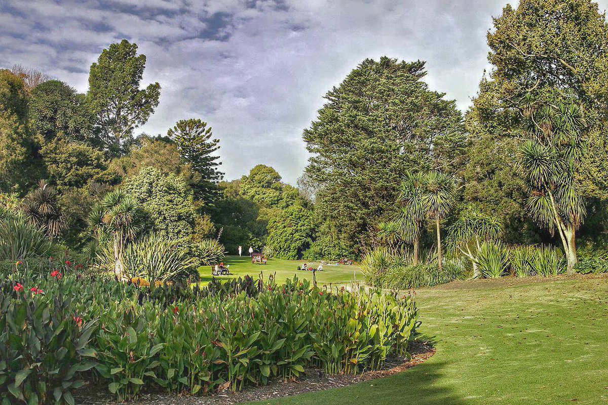 #Travel to #Australia and discover the botanical gardens in #Melbourne
t.me/ilReporter

 #Viaggio in #Australia per scoprire i giardini botanici di #Melbourne
t.me/ilReporter