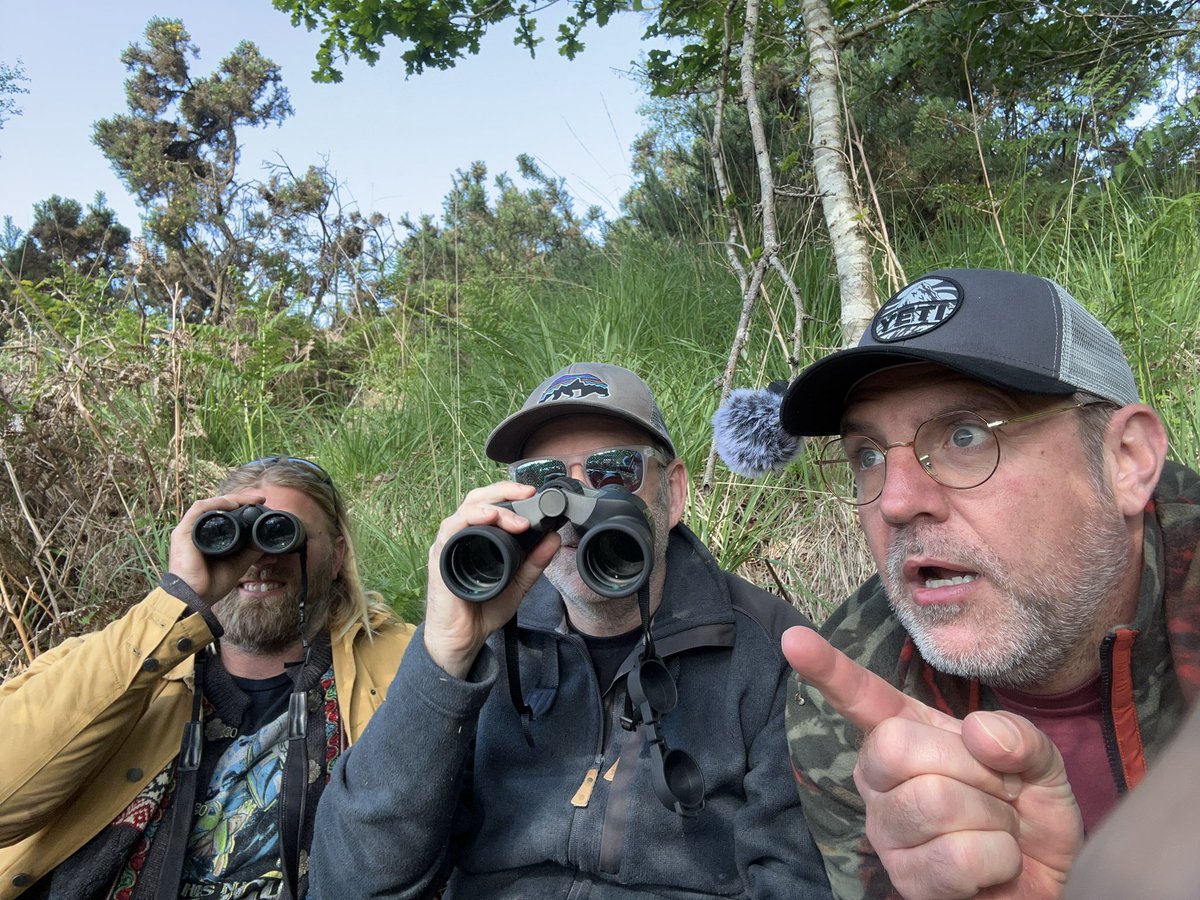 🔊🗣️NEW PODCAST EPISODE🐈‍⬛🌳
Join David <a href="/Phishtitz/">David Burton</a>, Henry and Ross @revoltingross on a search to a Dorset Big Cat. And for once, hear the story of a real encounter!!!!

pod.link/1640220316/epi…