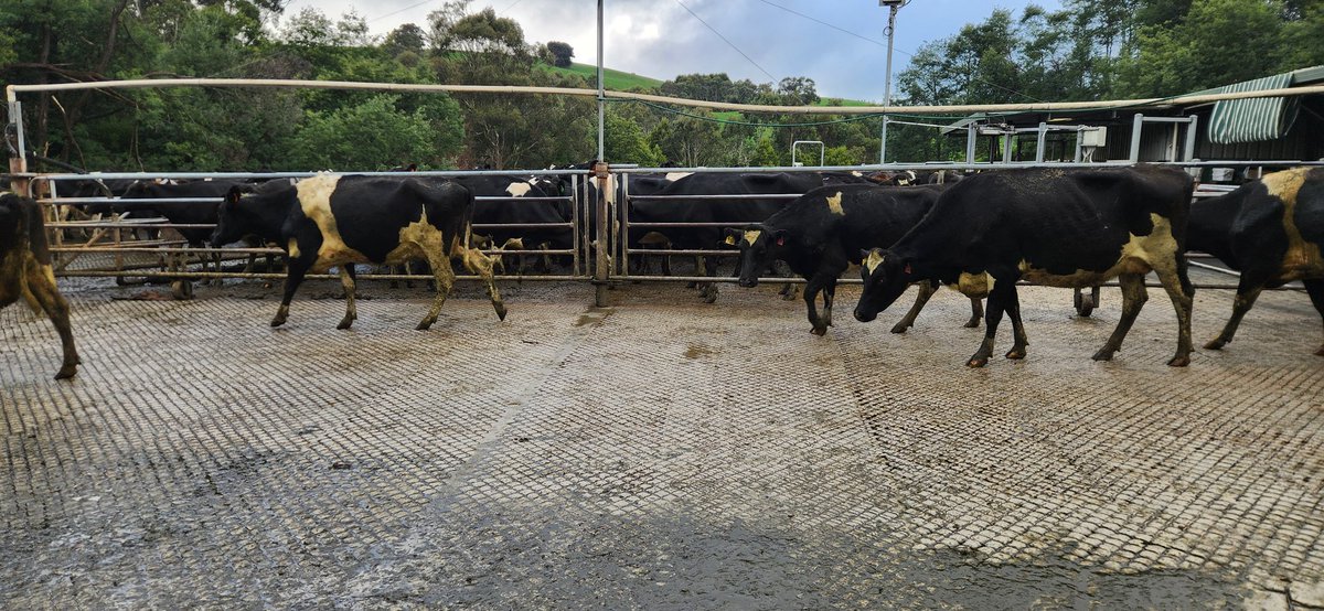 Brian Corr tweet media