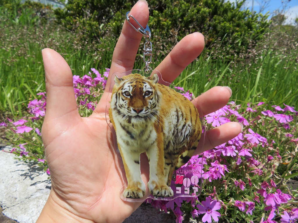 NPO法人釧路市動物園協会 on X: NPO法人釧路市動物園協会 on X: