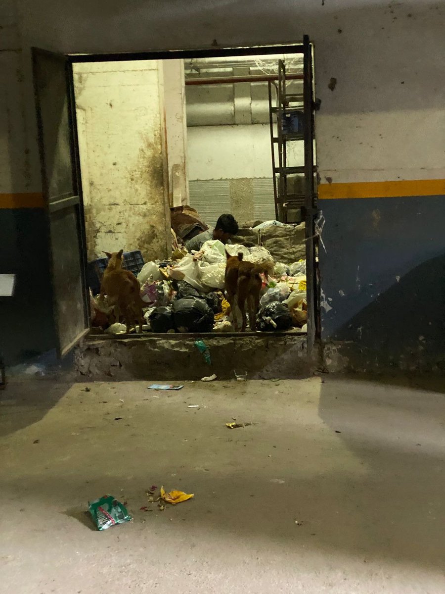 mgmsocietyaoa's tweet photo. कुत्ते की समस्या कब हल होगी?

यदि कोई एक भी जिम्मेदार अधिकारी है जो बिल्डर से जुड़ा नहीं है तो कृपया “मिगसन ग्रीन मेंशन, ग्रेटर नोएडा बिल्डर” के खिलाफ क���छ कार्रवाई करें।

अनाधिकृत लोग और वाहन सोसायटी में प्रवेश कर रहे हैं और हमारी सोसायटी के अंदर अवैध काम कर रहे हैं। हमें जान का बड़ा ख़तरा है और हम ख़तरे में हैं.

उपयोगिता बिलों (मेंटेनेंस) में 70% की अवैध वृद्धि, सेवाएँ पहले से भी ख़राब हैं और हमें वर्षों पहले भुगतान की गई मूल कीमत पर बिल्डर को फ्लैट बेचने के लिए मजबूर कर रही हैं।
#Migsun_Green_Mansion_Society_Gr_Noida_UP

@UPSIDA
@sho_surajpur
@CP_Noida
@UPRERAofficial
@Acp1Noida
@UPGovt
@DCPGreaterNoida
@acp2noida
@MLJ_GoI
@DCP_Noida
@CeoNoida
@ChiefSecyUP
@Uppolice
@myogioffice
@DCPCentralNoida
@noida_authority
@noidapolice
@apcuttarpradesh
@CDOGBN
@indSupremeCourt
@MedhaRoopam
@OfficialGNIDA
@NoidaLokmanch
@MoHUA_India
@NagarVikas_UP
@JPNadda
@narendramodi
@AmitShah
@AmitShahOffice
@cfonoida
@OfficeOfRKSingh
@AsmitaLalIAS
@rajnathsingh
@myogiadityanath
@PMOIndia
@dmgbnagar
@CMOfficeUP
@cmogbnr
@DeptGbn
@Rmsurajpurupsi2
@spgoyal
@kpmaurya1
@SureshKKhanna
@DyCMGoUP
@dgpup
@Satishmahanaup
@HMOIndia