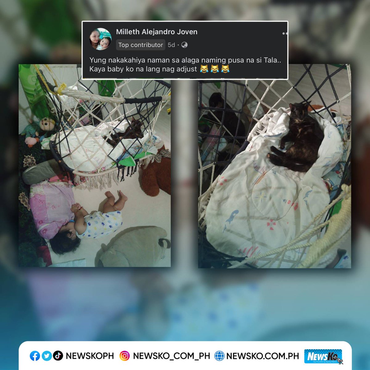 NewsKoPH's tweet photo. #MemesPH: 'Yung kayo na ng anak mo ang nag-adjust sa mala-señorita mong furbaby. 😹
📸 FB/ Milleth Alejandro Joven
Bisitahin ang aming official website para sa iba pang balita: https://t.co/mdIbQKpPI3
#ViralPH #GoodVibesPH #Trending #Funny #fyp https://t.co/GqJza30i9f