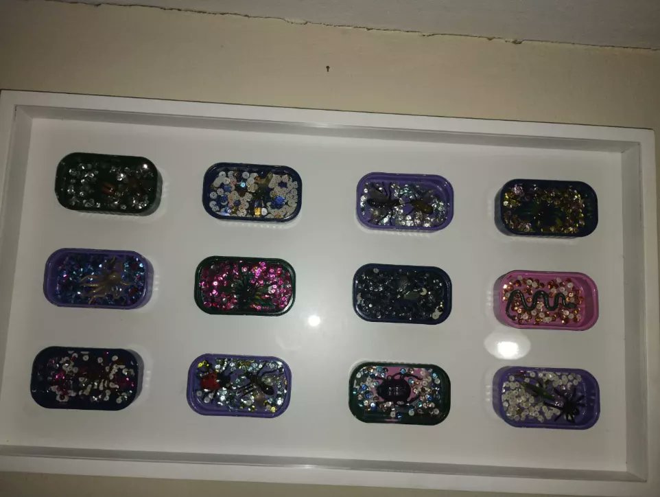 A vida de pequeno animais, inanimados.