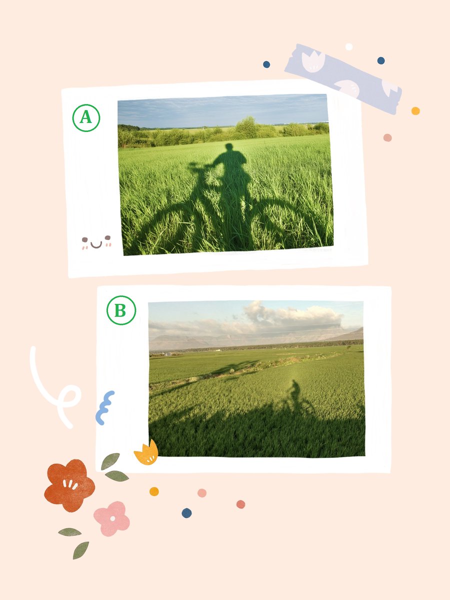 Bhuvana Scm tweet media