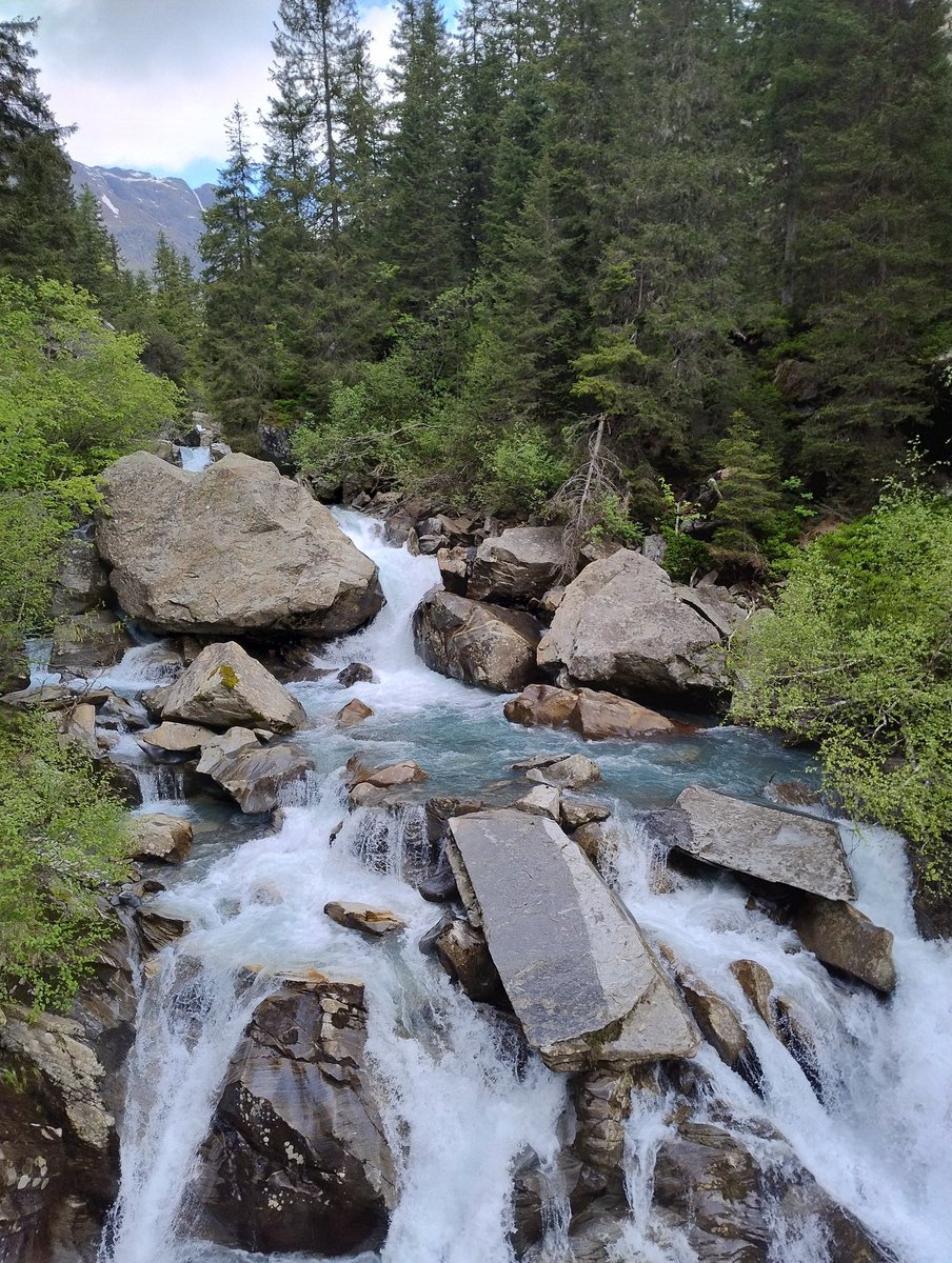 SPiccolroaz's tweet photo. Field trip with 4th year #Environmental #Engineering students at @UniTrento to Val Ridanna (Italy), along the beautiful braided Ridanna stream.
The monitoring menu included:
- Flow measurements with various instruments 
- Granulometry survey
- On-site #river #morphodynamic pills https://t.co/6vgFKgk2vS