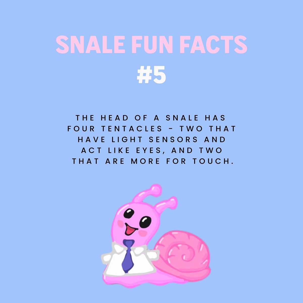 snalesol's tweet photo. Snale fun fact #5 https://t.co/yQGVO3hLKv