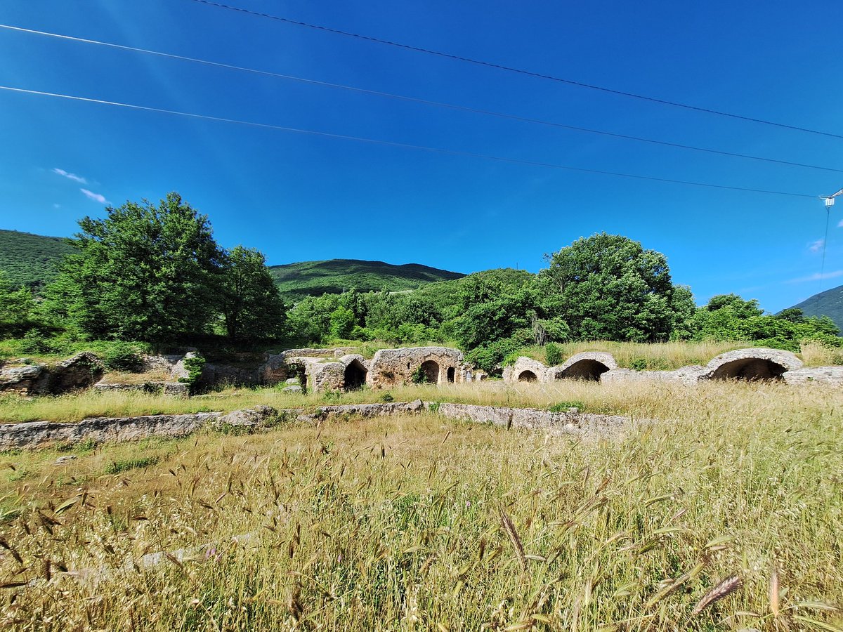 Dr Marta PerezFernandez tweet media