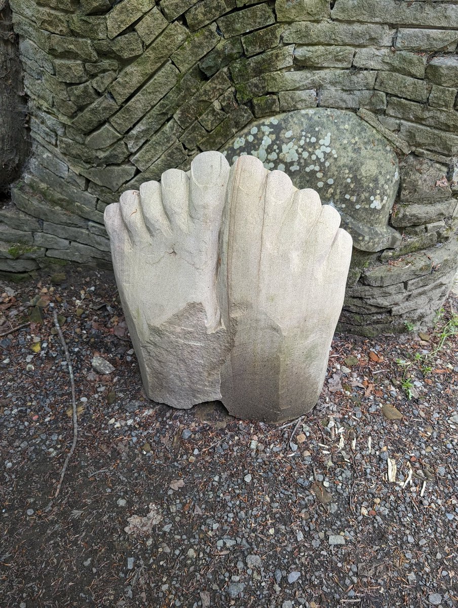 Awesomemtbuk's tweet photo. An awesome pair of feet spotted while out walking with  https://t.co/CCMt3nyx3g https://t.co/A8VSFwt3fd