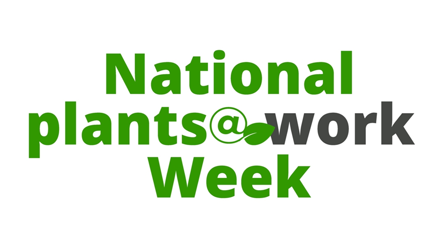 plants_atwork's tweet photo. National Plants at Work Week (8-12 July) is just a month away! Join us in promoting the benefits of plants and interior landscaping for healthier, more productive workspaces. #PlantsAtWorkWeek #InteriorLandscaping #NPWW https://t.co/ahk3l7VkyU