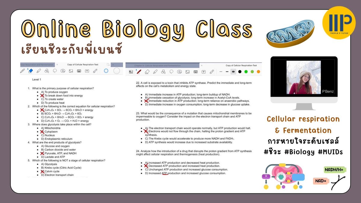 Bio4u_'s tweet photo. Online Biology class 🌱เรียนชีวะกับพี่เบนซ์ ✨
คลาสเรียนเดี่ยว Biology 🔬 N’Petch grade 10 สาธิตนานาชาติมหิดล (MUIDS)
#Cellularrespiration #respiration #Biology #Internationalprogram #EP #MUIDS #ชีวะ #เรียนชีวะ #การหายใจระดับเซลล์ 📚 https://t.co/eB8r3TJQKK