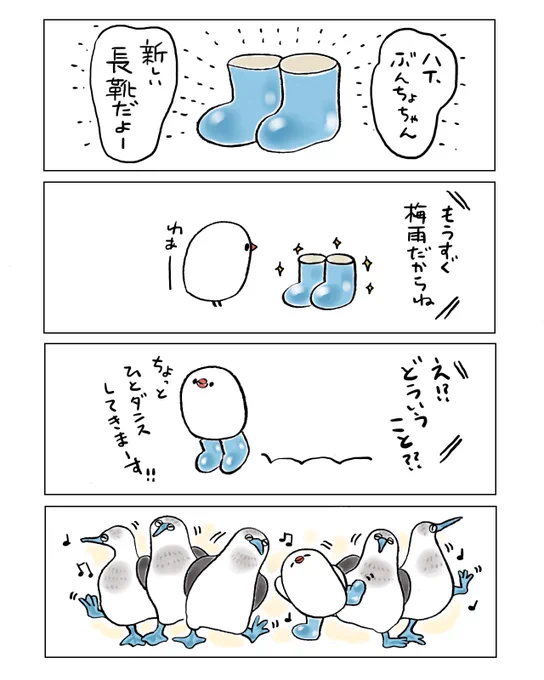 アオアシカツオドリとぶんちょ 