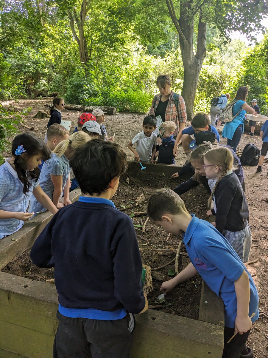 OWPSturtles tweet media