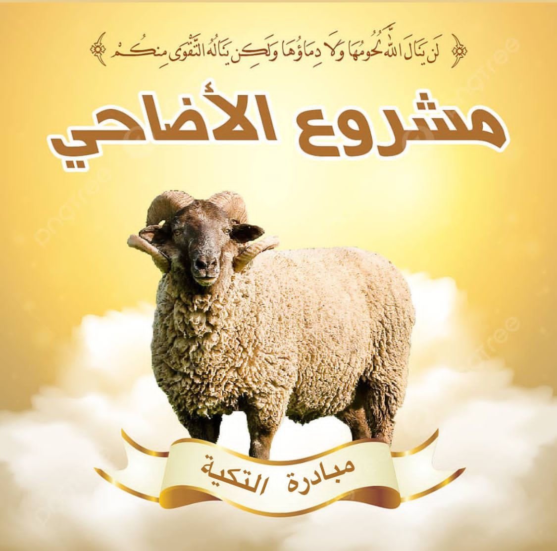 HkZuk's tweet photo. تكية في أمدرمان الثورة
عايزين يشتروا خرفان ويوزعوا اللحم على الأسر العفيفة، اي شخص حابي يكون جزء في عمل الخير العظيم ويتبرع يحول في الحساب الموضح في البوستر. 

للإشعار والتواصل: 249117067402+ https://t.co/tdp97KLa4R