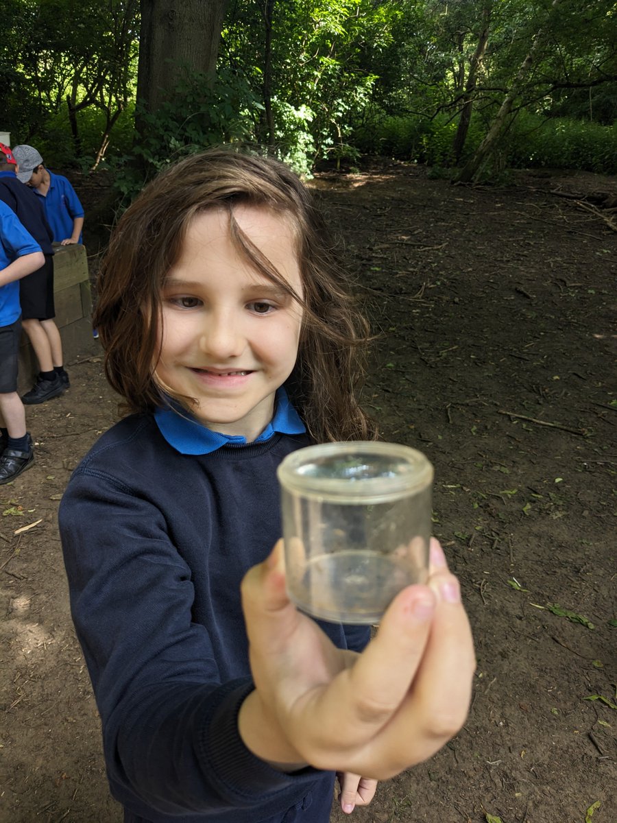 OWPSturtles tweet media