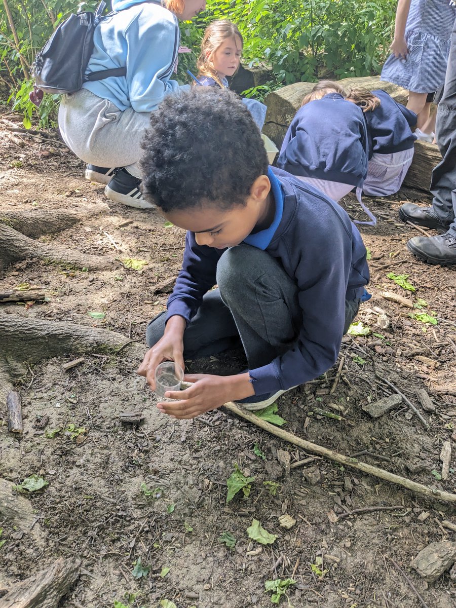 OWPSturtles tweet media