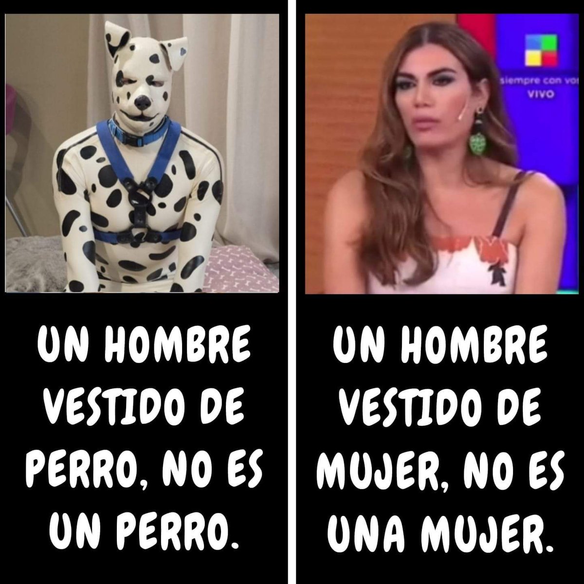 Patrioticos_RD's tweet image. Dale ❤️ | 🔄 Si Estás De Acuerdo 👇🙋🏻