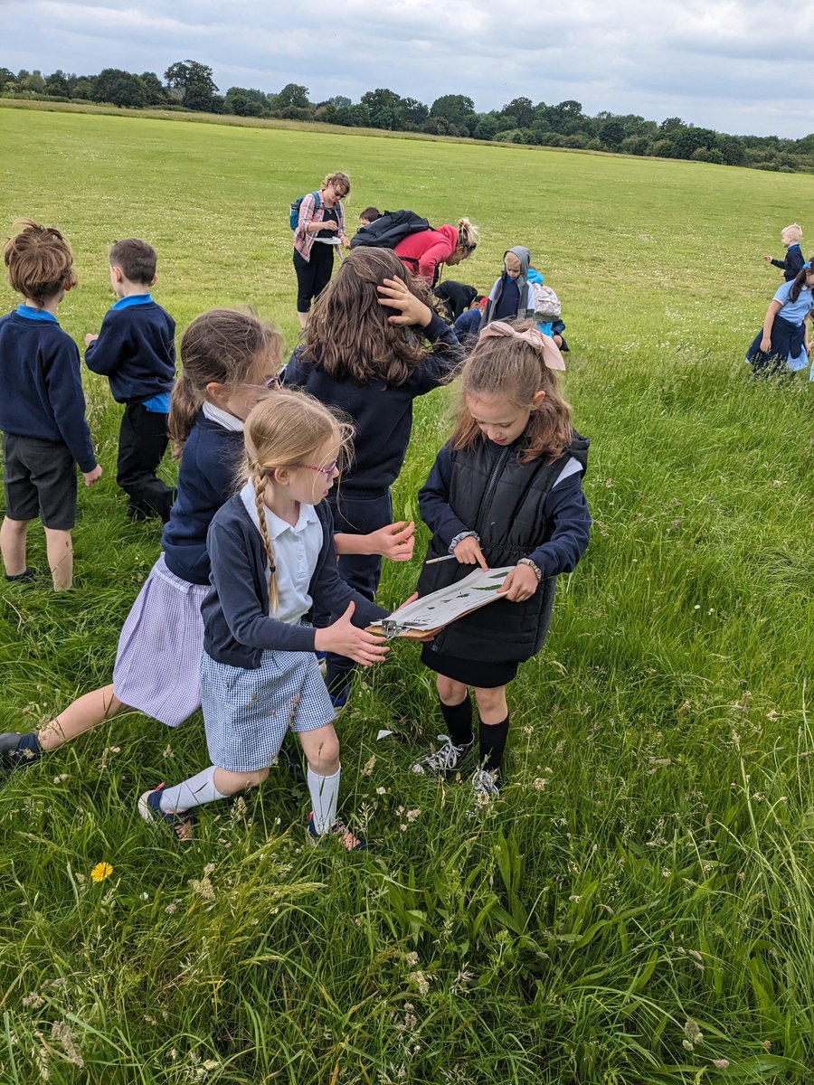 OWPSturtles tweet media