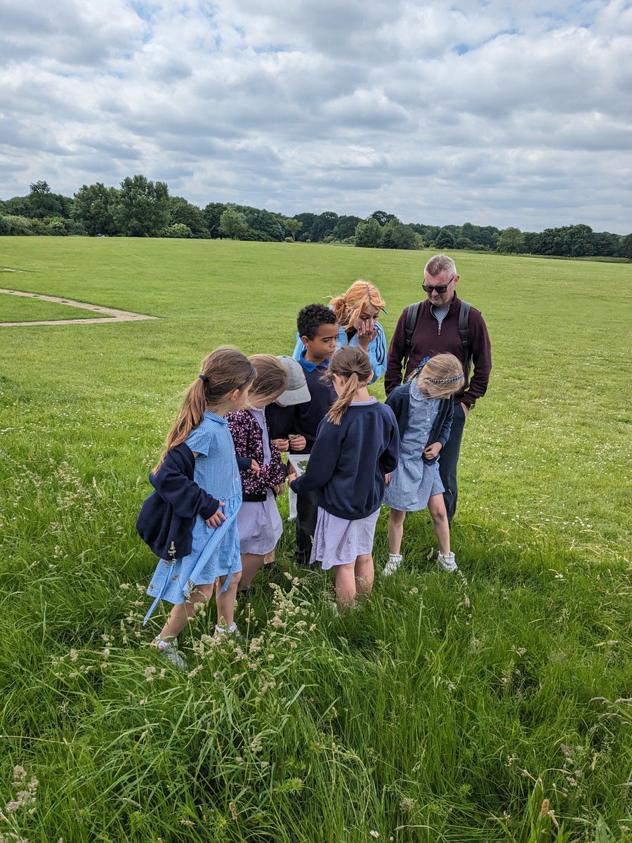 OWPSturtles tweet media