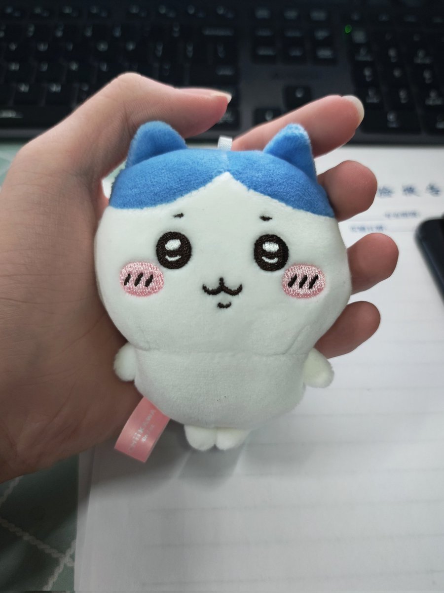 hanzz258's tweet photo. @Ot3irea1 为什么你的小八变成那个样子了qwq https://t.co/8btH7lOuvI
