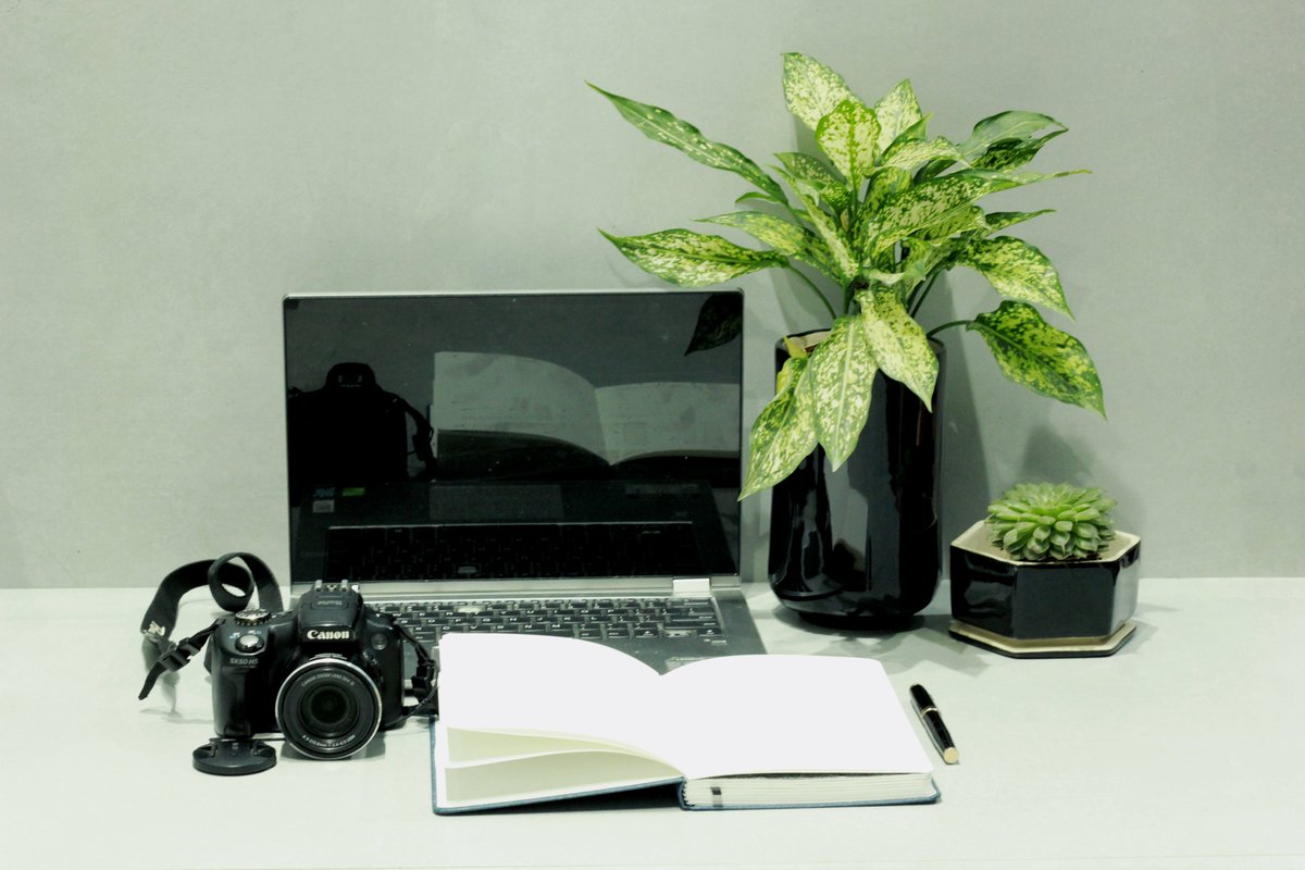 mananda_india's tweet photo. Elevate your workspace with Mananda's exquisite ceramic pots and planters! Our stunning Pitch Black collection brings both style and functionality to your desk. Transform your workspace into a haven of creativity and serenity with our collection.
#homedecor #indoorgardening https://t.co/oRDpTMI4gX