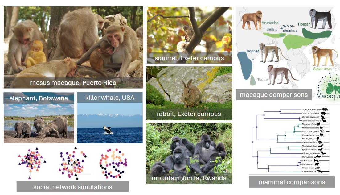 Andy D Higginson (@andydhigginson) on Twitter photo Brilliant session yesterday. If you couldn't make it feel free to get in touch with me. exeter.ac.uk/study/postgrad…. Just look at the projects run by just one of our 11 supervisors! Brilliant session yesterday. If you couldn't make it feel free to get in touch with me. exeter.ac.uk/study/postgrad…. Just look at the projects run by just one of our 11 supervisors!