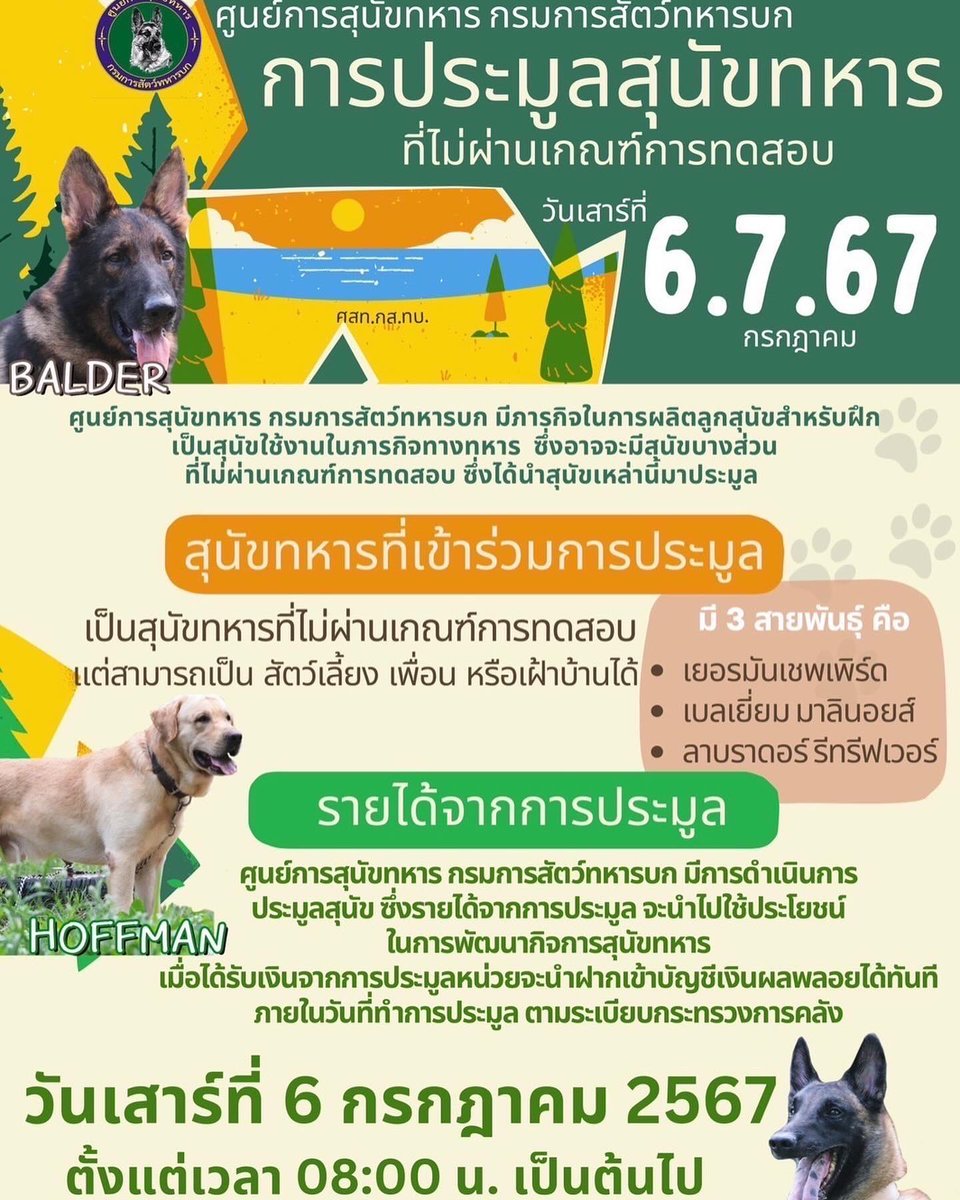Wardog0448_18's tweet photo. 🐶 การประมูลสุนัขที่ไม่ผ่านเกณฑ์การทดสอบ จำนวน 66 ตัว

วันเสาร์ที่ 6 กรกฎาคม 2567 เวลา 08:00 น.
📍 ณ ศูนย์การสุนัขทหาร กรมการสัตว์ทหารบก อ.ปากช่อง จ.นครราชสีมา

📬 ผู้ที่สนใจสามารถสอบถามข้อมูลเพิ่มเติมที่เพจ ศูนย์การสุนัขทหาร กรมการสัตว์ทหารบก
https://t.co/wWqEHG6kO8 https://t.co/8PyJZgRrT5