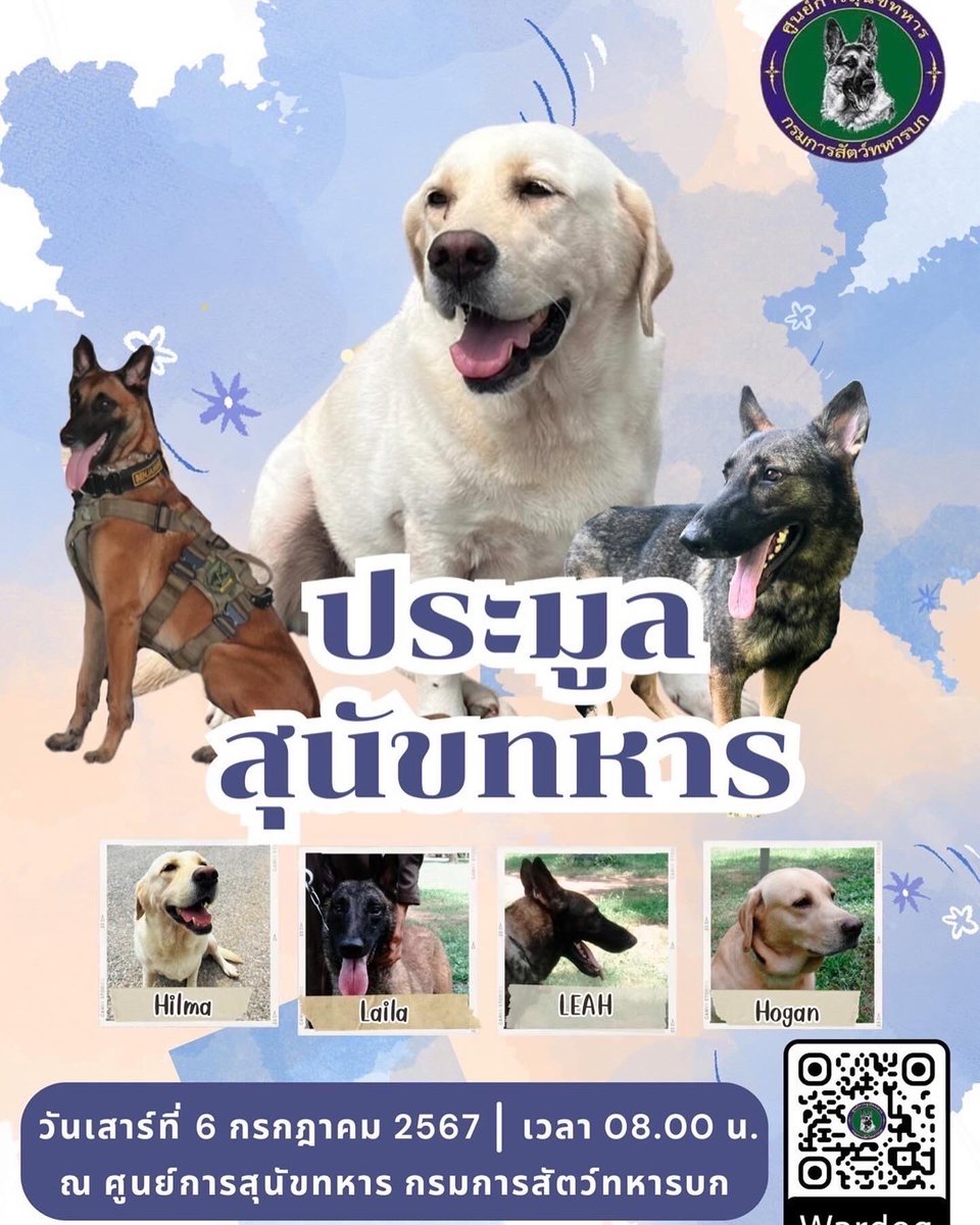 Wardog0448_18's tweet photo. 🐶 การประมูลสุนัขที่ไม่ผ่านเกณฑ์การทดสอบ จำนวน 66 ตัว

วันเสาร์ที่ 6 กรกฎาคม 2567 เวลา 08:00 น.
📍 ณ ศูนย์การสุนัขทหาร กรมการสัตว์ทหารบก อ.ปากช่อง จ.นครราชสีมา

📬 ผู้ที่สนใจสามารถสอบถามข้อมูลเพิ่มเติมที่เพจ ศูนย์การสุนัขทหาร กรมการสัตว์ทหารบก
https://t.co/wWqEHG6kO8 https://t.co/8PyJZgRrT5