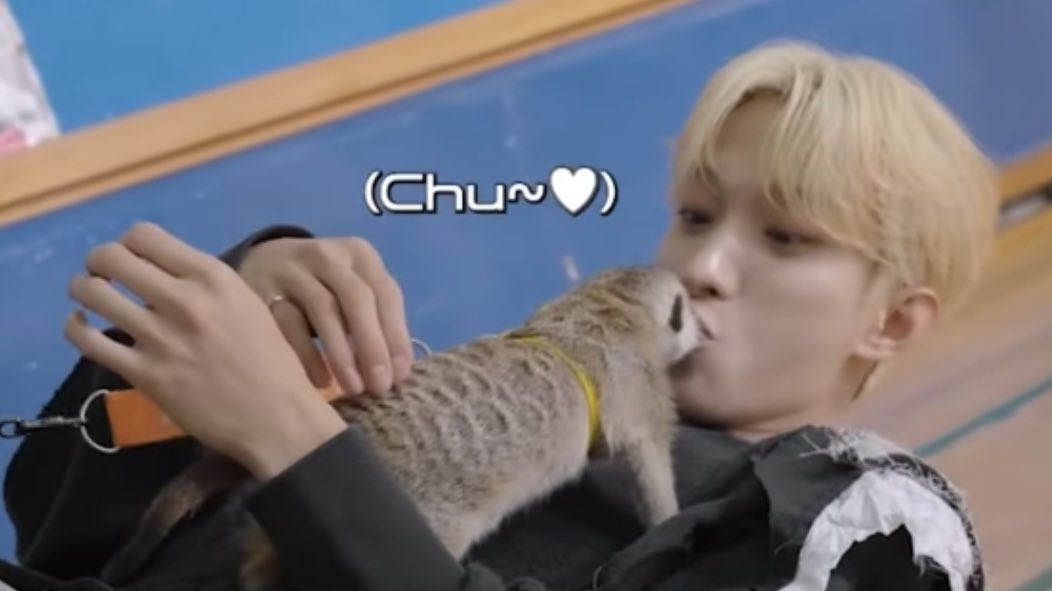 sounds_of_cheol's tweet photo. dk with morae the meerkat 🥹 https://t.co/SnXsisWGHa