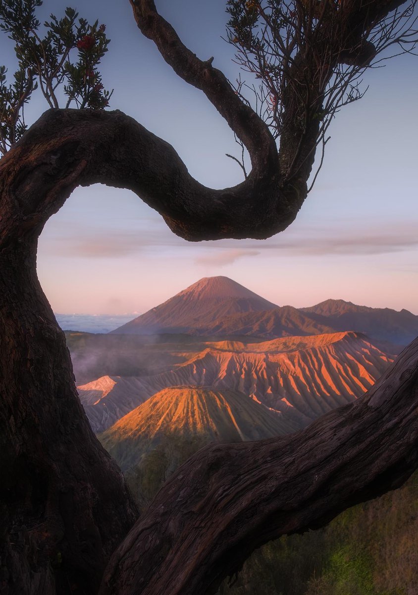 francisansing.eth | Fine Art Landscape Photography tweet media