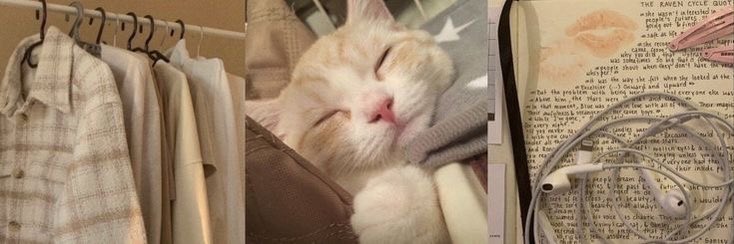 seiajee's tweet image. 𖠗 🖇️˖ ⌕ 𝙨𝙚𝙞𝙖’𝙨 𝙩𝙝𝙧𝙚𝙖𝙙  ! ࿔*:･ﾟ♡ ᨓ