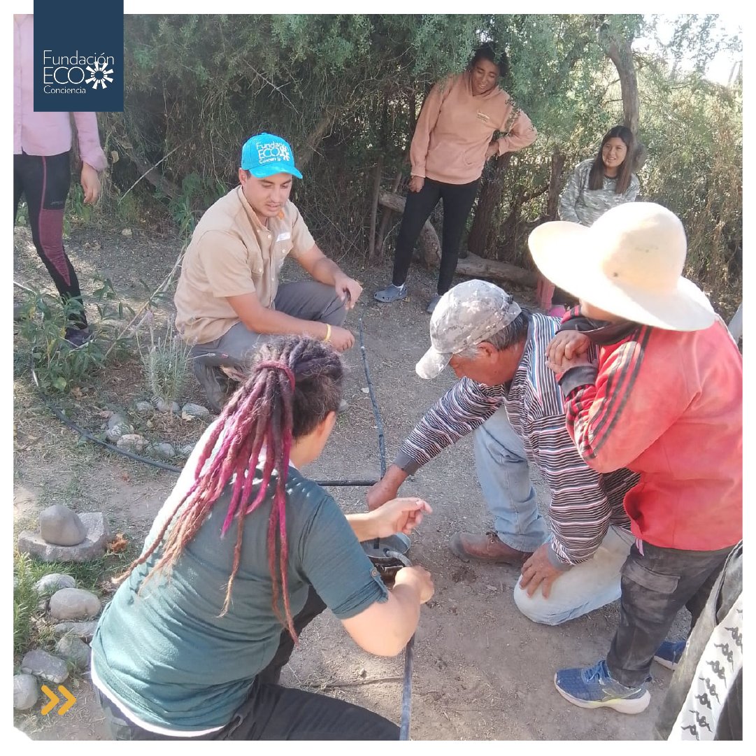 EcoConciencia2's tweet photo. #EcoConciencia #RiegoPorGoteo #AgriculturaSostenible #HuertosComunitarios https://t.co/vnqdlNkJBX