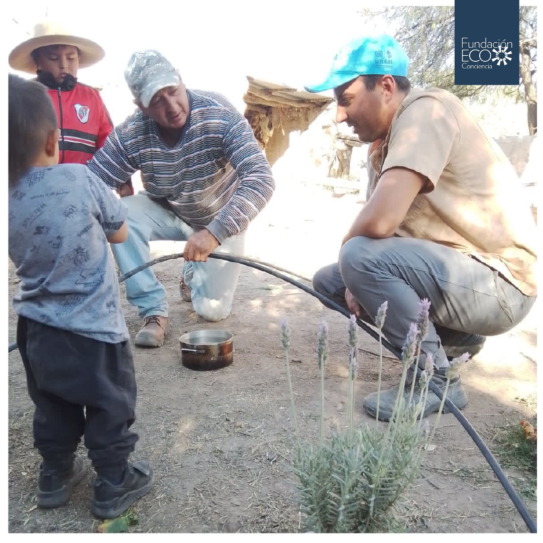EcoConciencia2's tweet photo. #EcoConciencia #RiegoPorGoteo #AgriculturaSostenible #HuertosComunitarios https://t.co/vnqdlNkJBX