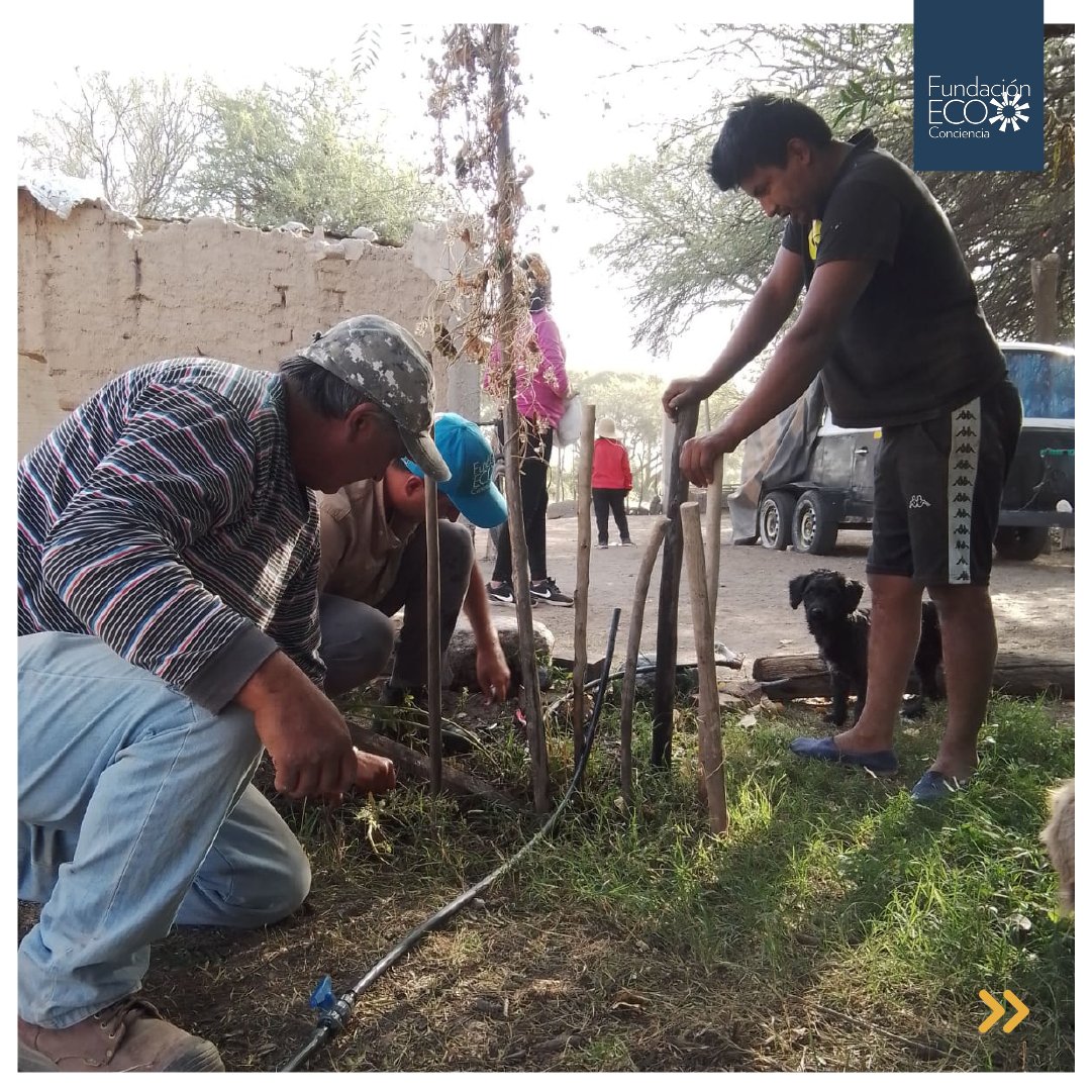 #EcoConciencia #RiegoPorGoteo #AgriculturaSostenible #HuertosComunitarios