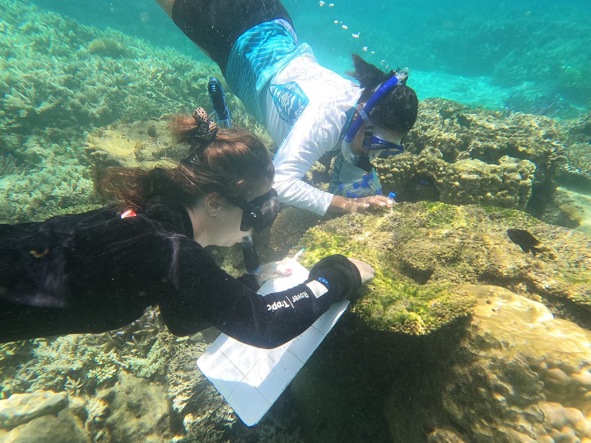 samsonlailai's tweet photo. A work life update 💻 that nobody asked for : The first half of the year has been challenging but now that we are at the end of the semester I feel so fulfilled.
🐚🐠🪸 https://t.co/Zg3Fi5Kc8v