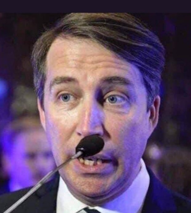 Att invandraren Hitler kunde stå i Tyskland, vråla med sin oberösterreichiska dialekt och få en hel nation att heila är helt sjukt.

Ja menar, tänk er själva om en misslyckad konstnär från Finland skulle stå och gapa till oss om vad som är svenskt och inte?

Absurt, eller hur?