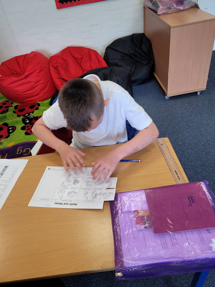 Class 2 spent time discussing needs and wants yesterday. They eventually agreed that a mobile phone was probably a 'want' and not a 'need'....I'm not convinced 🤔 #iwbsrrsa #childrensrights #uncrc