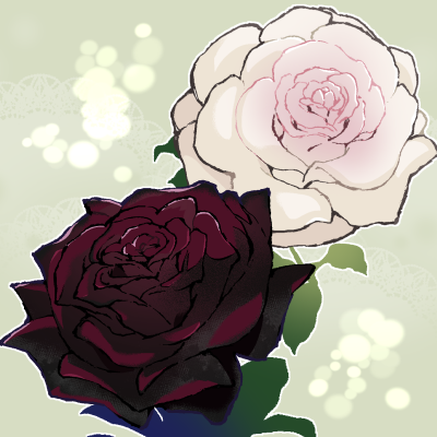 「pink flower white flower」 illustration images(Latest)