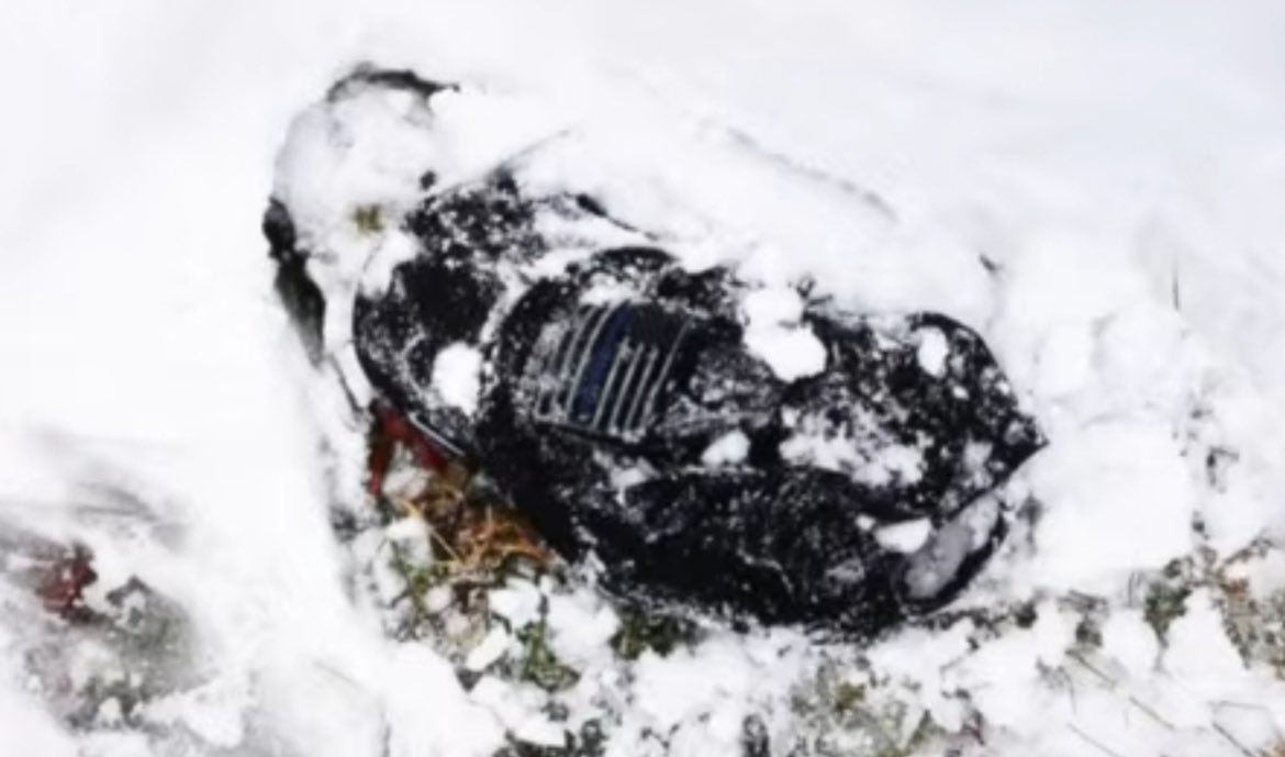 Reel Crime Sisters tweet media