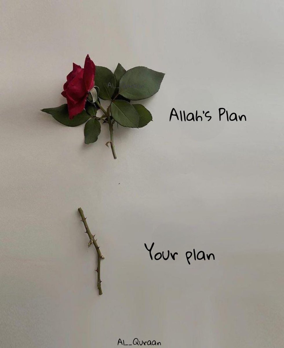 Al__Quraan's tweet photo. Allah’s plan is better than your deepest desire. https://t.co/mYR4RyhBm1